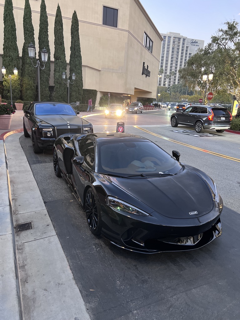 ESS valet detail with luxury vehicles at hotel arrival